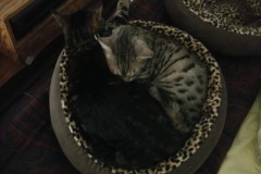 20170422_104742-Copy