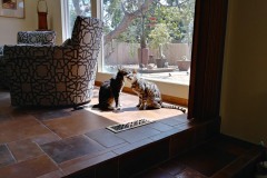 20170718_144830_HDR-Copy