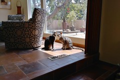 20170718_144833_HDR-Copy