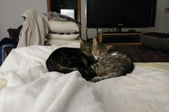 20170825_002446-Copy