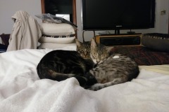 20170825_002459-Copy