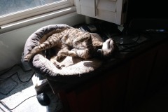 20180224_112035_HDRTigger-Copy