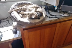 20180224_112049_HDRTigger-Copy