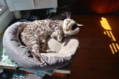 20180224_112111_HDRTigger-Copy