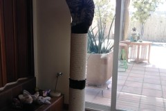 20180515_140730TiggerCatTree-Copy