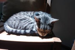 20180805_141055_HDRTigger-Copy