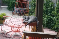 20190404_161214TiggerStool