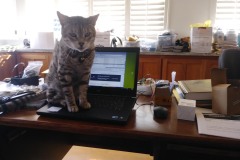 20190427_162300Tigger