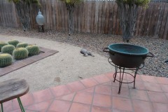 20190713_113320TiggerStart