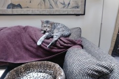 20200814_125015-Copy